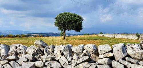 L'aria ro munti