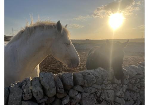 L'aria ro munti – Photos 2