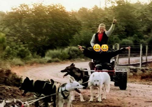 a woman riding on a horse drawn carriage with dogs at Casinha Siberiana, Casa de Hospedes in Vila da Ponte