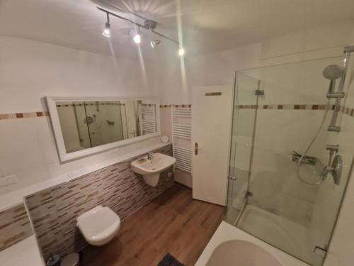 een badkamer met een wastafel, een douche en een toilet bij Natur in Maintal
