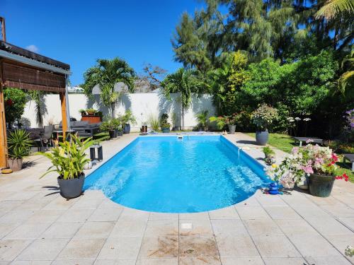 a swimming pool in a yard with plants at Appartement Artistique de Boucan Canot in Saint-Paul