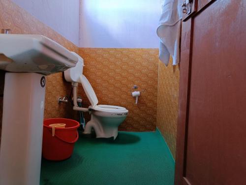 a small bathroom with a toilet and a sink at Native Retreat Cottage , Pangong ladakh UT in Meruk