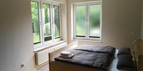 een slaapkamer met een bed en 2 ramen bij Ferienwohnung Lahann in Saalfeld