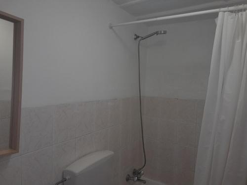 a bathroom with a shower curtain and a toilet at Chiado / Carmo Small Artist Lodge in Lisbon