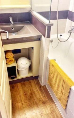 une petite salle de bain avec un lavabo et des toilettes dans l'établissement Cap Esterél studio vue mer 5 pers premium place, à Saint-Raphaël