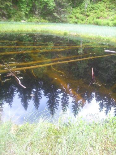 a body of water with a reflection of trees in the water at Koliba u Kuba a rekreačné domy in Hruštín
