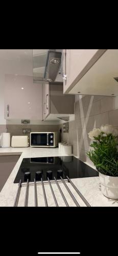 a kitchen with a stove top oven in a kitchen at Luxurious suite apartment Scotland in Edinburgh