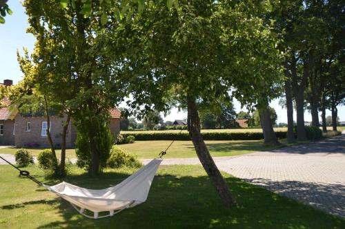 a hammock hanging from a tree in a yard at Vakantiehuisje de Wender in Ambt Delden