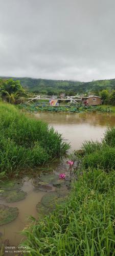 een waterlichaam met gras en bloemen bij The Memorize Resort in Ban Non Na Yao