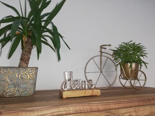 una estantería de madera con una bicicleta y plantas. en Happy Apartment, en Grafenwöhr