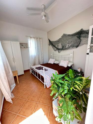 Postel nebo postele na pokoji v ubytování B&B Mi Ma Bo, Sal Rei, Boa Vista, Cape Verde, FREE WI-FI