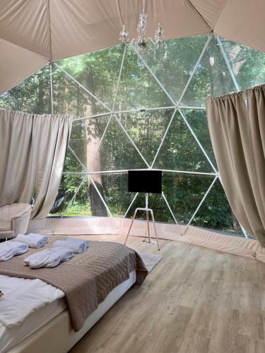 a bedroom with a bed and a large glass wall at Ironland Roztocze in Ruda Żelazna