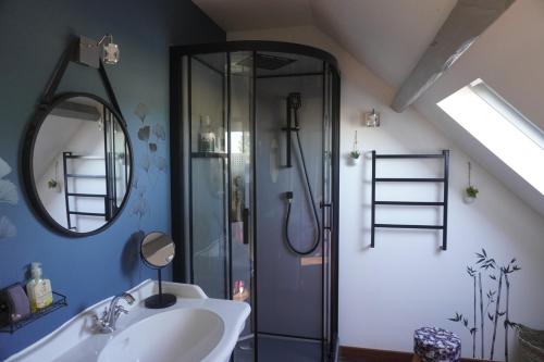 ein Bad mit einer Dusche, einem Waschbecken und einem Spiegel in der Unterkunft Le Domaine du Moulin 28 in Bailleau-lʼÉvêque
