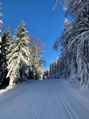 a snow covered road with snow covered trees on it at Apartmán Žalý in Benecko