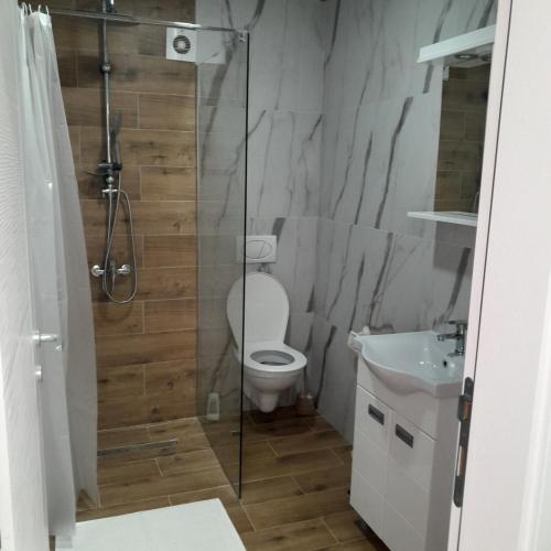 a bathroom with a toilet and a glass shower at Spa Koncept-Apartmani in Veliko Gradište