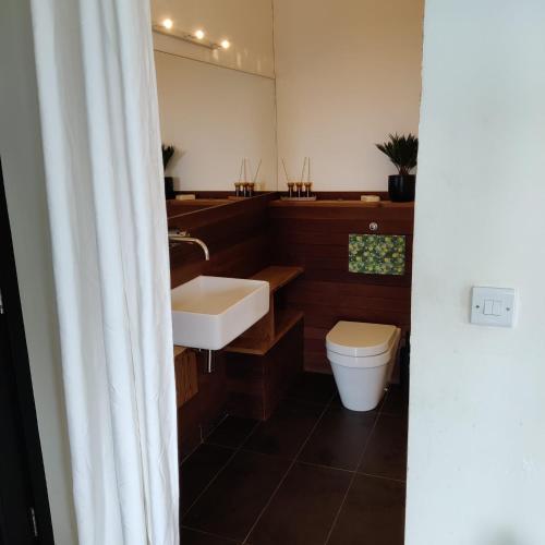 a bathroom with a sink and a toilet at Cedarblue in Dungarvan