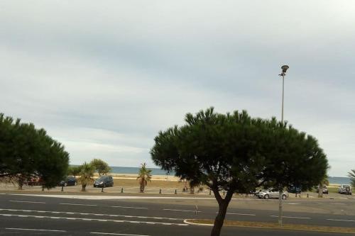 a street with a tree on the side of a road at T3 tout confort en front de mer, clim in Saint-Cyprien