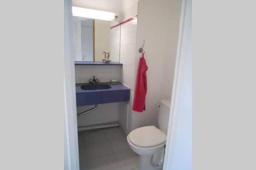 a bathroom with a toilet and a sink at Pool , 150m to beach, seaview in Villefranche-sur-Mer
