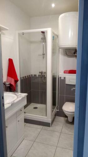 une salle de bain avec une douche, des toilettes et un lavabo dans l'établissement T3 tout confort en front de mer, clim, à Saint-Cyprien