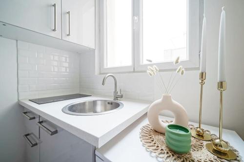 une cuisine avec un évier et un vase sur un comptoir dans l'établissement Green studio cosy and confortable - III, à Paris