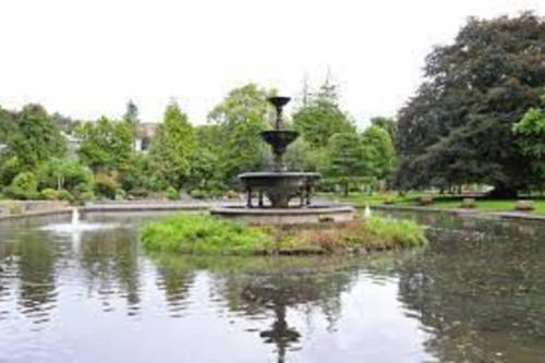una fuente en medio de un estanque en un parque en Charming 1-Bed Apartment in Cork en Cork