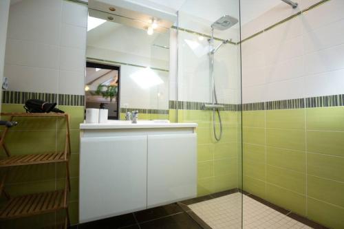 a bathroom with a sink and a shower at Le Speakeasy - Maison avec billard in Auxerre