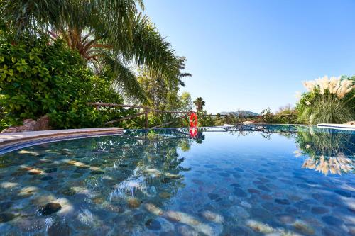 a swimming pool with blue water and palm trees at Quiet Villa in Buger with amazing pool, paddle court and nice garden in Búger