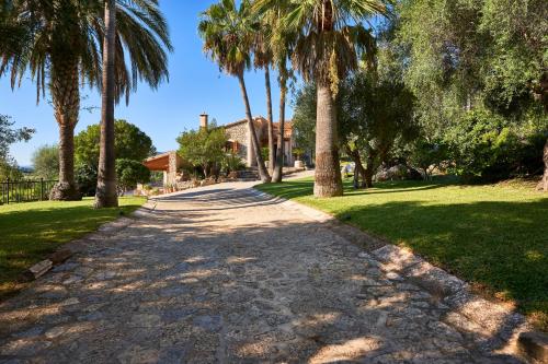a path with palm trees in a park at Quiet Villa in Buger with amazing pool, paddle court and nice garden in Búger