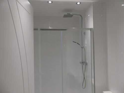 eine Dusche mit Glastür im Bad in der Unterkunft The Annexe in Eaglesham