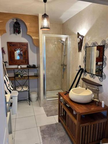 a bathroom with a shower and a sink and a mirror at L'Amoureux - Disneyland, parking gratuit, navette in Montry