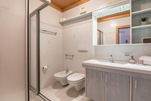 een badkamer met een toilet, een wastafel en een douche bij Häuslerhof App Tilia in Villabassa