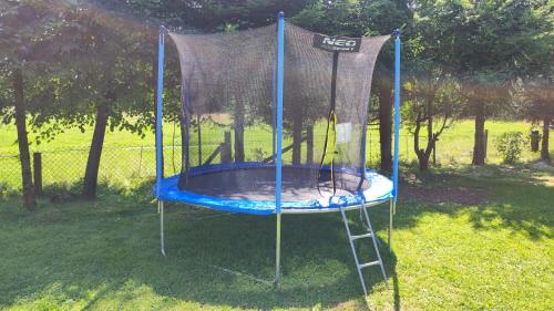 a trampoline in the grass in a yard at Domek drewniany Krokus in Witów