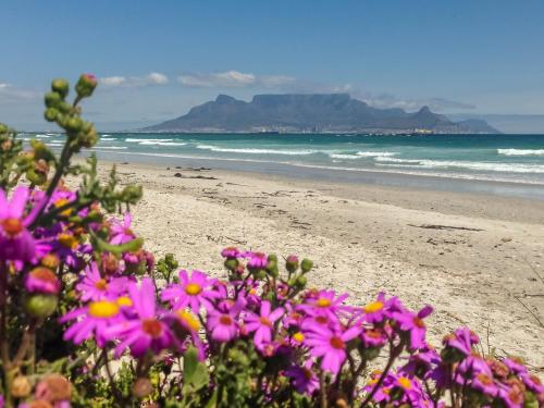 Φυσικό τοπίο κοντά σε αυτό το διαμέρισμα