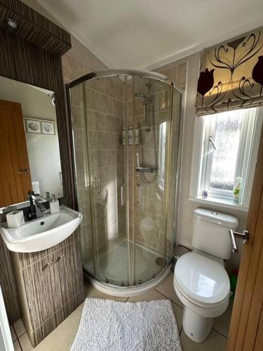 a bathroom with a shower and a toilet and a sink at Country Gem in Tydd Saint Giles