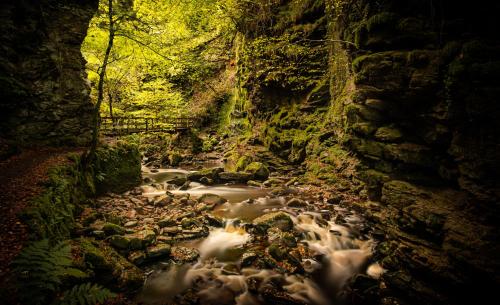 a river in a canyon with rocks and trees at The High Croft in Rogart