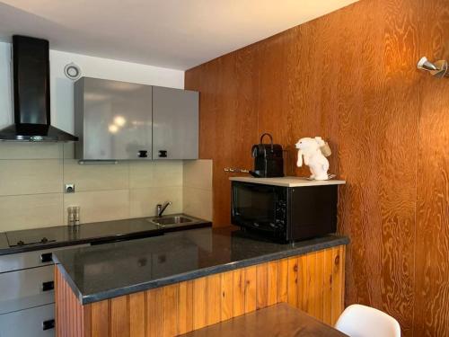 cocina con encimera y microondas en P'tit Drac spacieux studio de 35m2 en Orcières