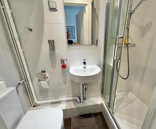 a bathroom with a shower and a sink and a toilet at Apartment Paris Studios in Paris