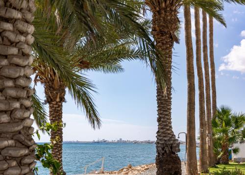two palm trees on a beach near the water at Larnaca BeachHouse in Larnaka