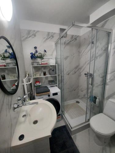 y baño con ducha, lavabo y aseo. en Mieszkanie Apartament Lord, en Toruń