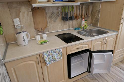 a small kitchen with a sink and a microwave at Kamping u Łukasza in Zakopane