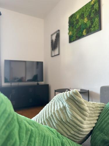 Μια τηλεόραση ή/και κέντρο ψυχαγωγίας στο aPARTMENT KARL 22