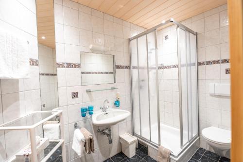 ラディスにあるApart Burgpanoramaのバスルーム(シャワー、洗面台、トイレ付)