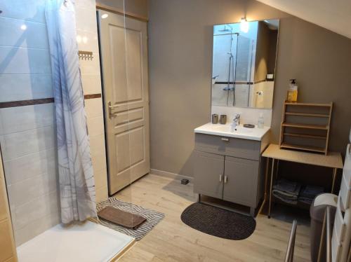 uma casa de banho com um lavatório e um chuveiro com um espelho. em Appartement Gaston em Vireux-Wallerand