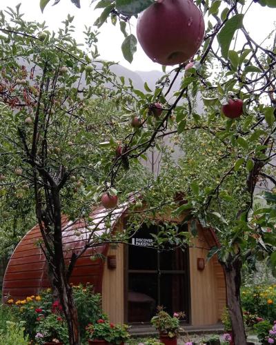 an apple tree in front of a building at Royal Heritage Nagar in Maiūn