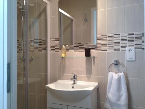 een badkamer met een wastafel en een douche bij L'Auberge Des Oiseaux Chantants in Willeman