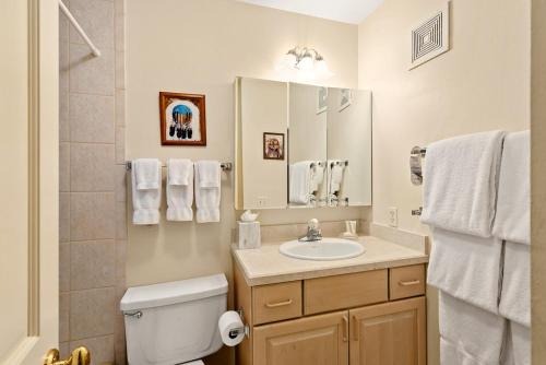 een badkamer met een wastafel, een toilet en een spiegel bij 118 E. Bleeker Street Lower Level, Large Lower-Level Condo in Duplex with Private Deck in Aspen