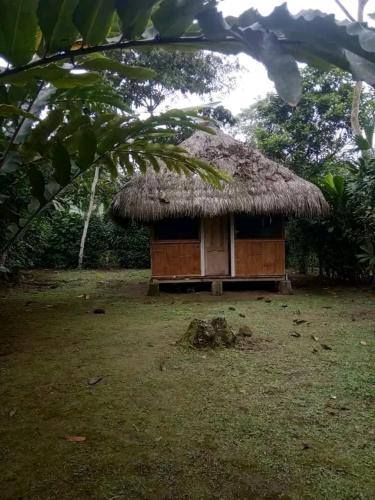 une petite cabane avec un toit en paille dans un champ dans l'établissement Seke Sonachun, à Santo Domingo de los Colorados