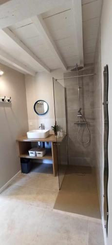 une salle de bain avec douche et lavabo dans l'établissement La Clé des champs, à Luchy