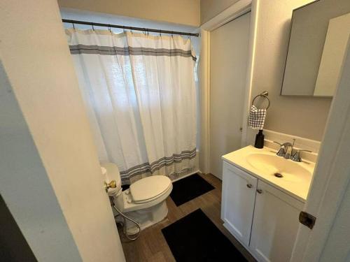 een witte badkamer met een toilet en een wastafel bij Cozy Apt Near Downtown Dayton (2) in Dayton
