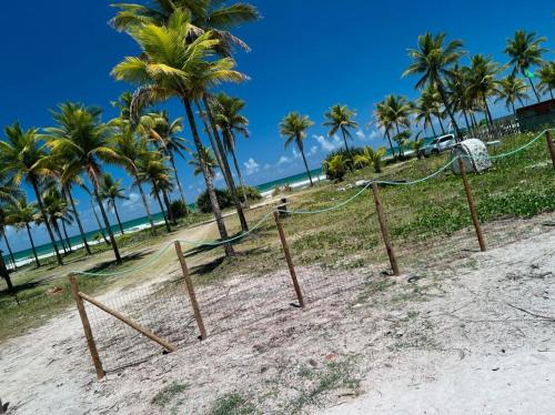 a hammock on a beach with palm trees at FLATS SETE ESTRELAS DO MAR in Ilhéus